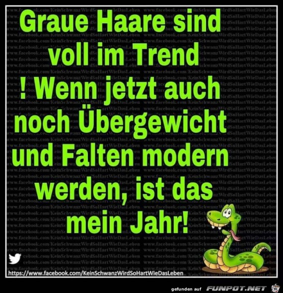 graue haare graue haare