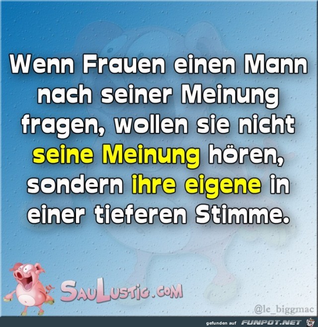 Meinung Meinung