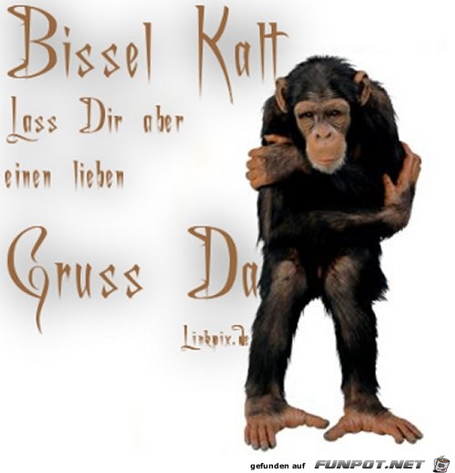 bissel kalt