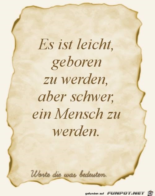 5leicht