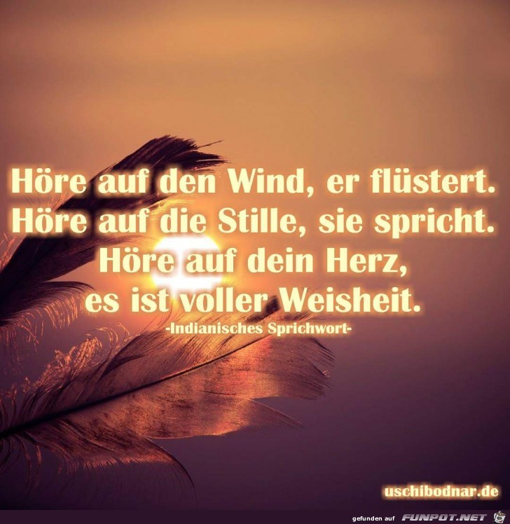 hoere auf den wind