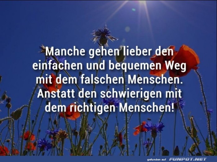 sch�ne Spr�che zur Liebe und Partnerschaft
