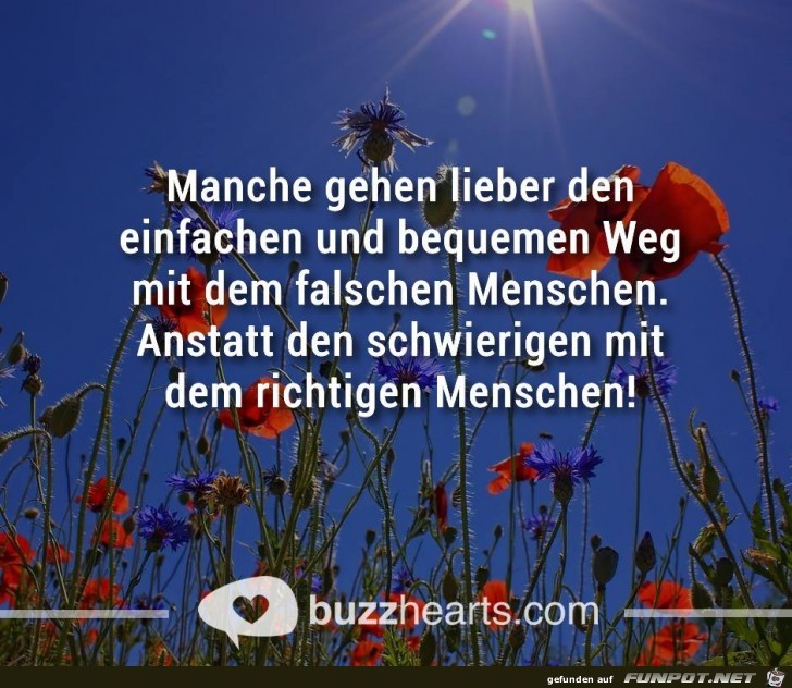 Manche gehen