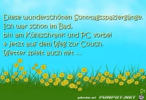 Sonntags-Spaziergänge Sonntags-Spaziergänge