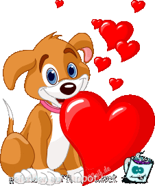hunde-0044 hunde-0044