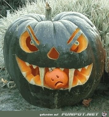 Witzige Bilder zu Halloween