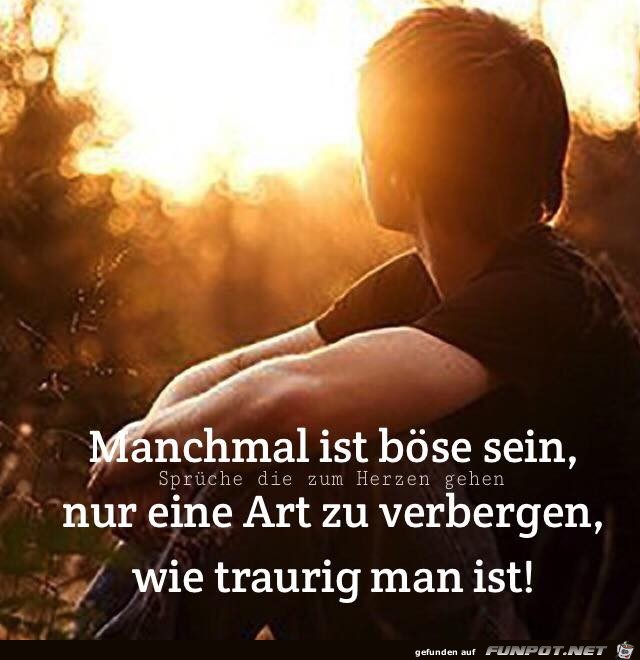 Manchmal ist boese sein