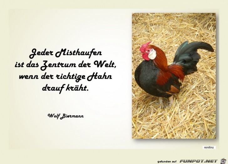 Jeder Misthaufen ist