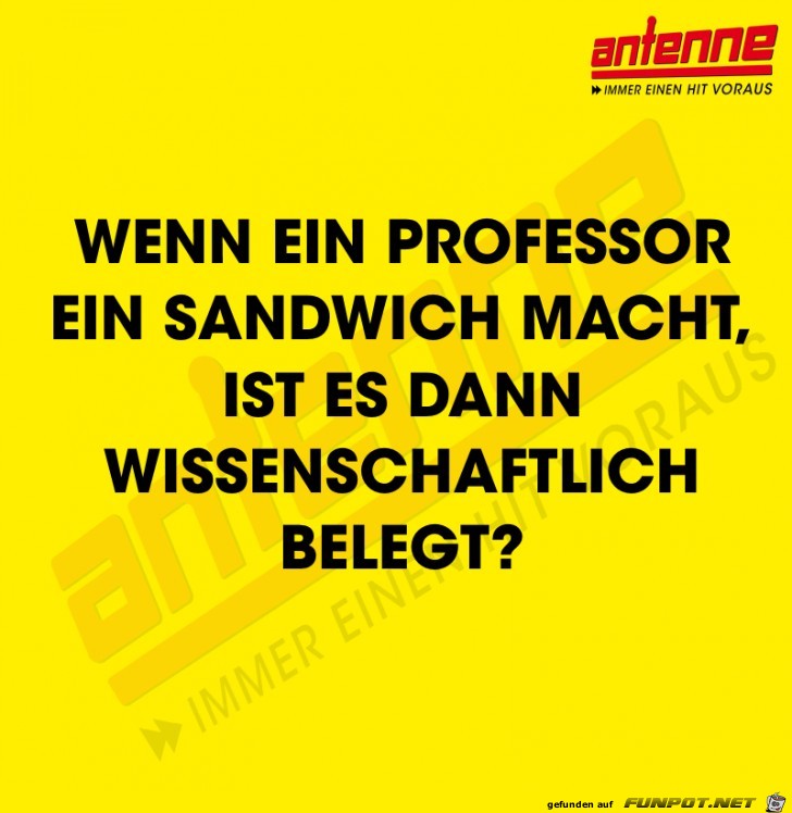 Wenn ein Professor