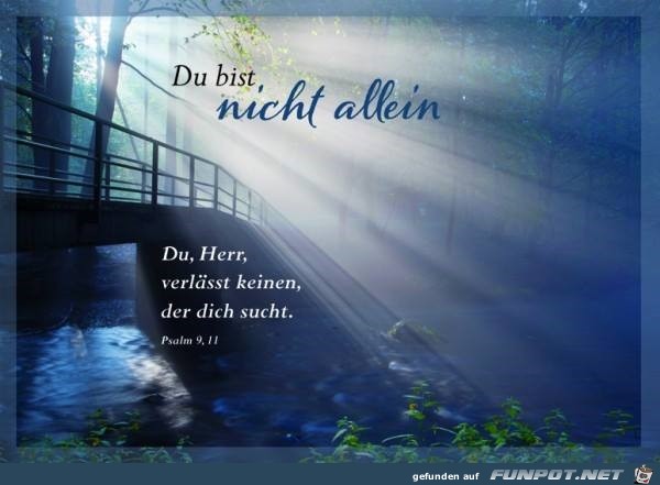 Psalm 9 11 Psalm 9 11