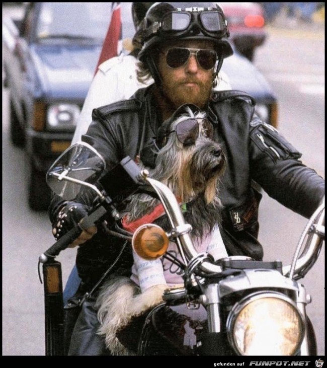 Biker Biker