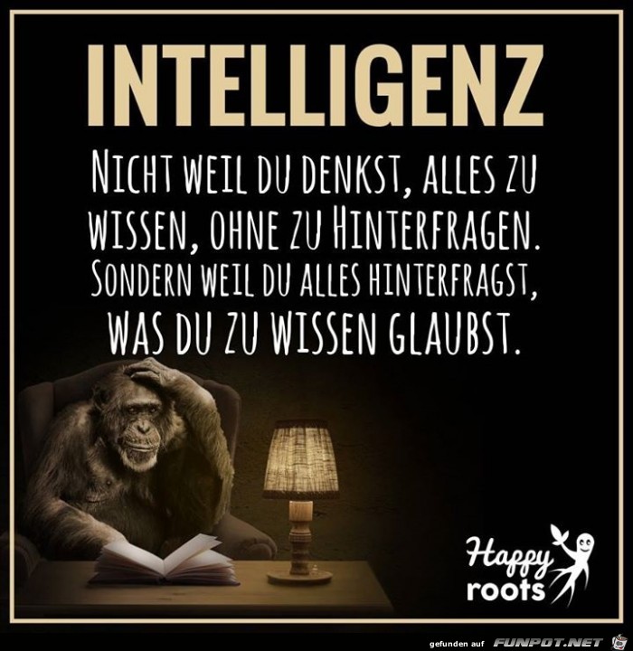 intelligenz intelligenz