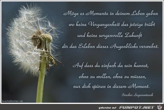 Momente m Leben 