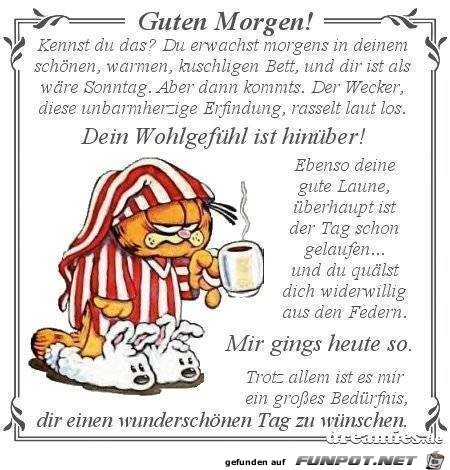 morgen morgen