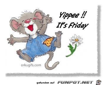 Yippee Yippee
