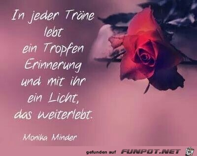 In jeder Traene In jeder Traene