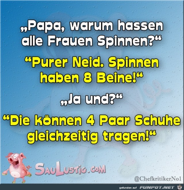 Frauen-hassen-Spinnen