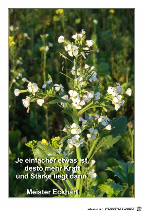 je einfacher etwas ist... je einfacher etwas ist...