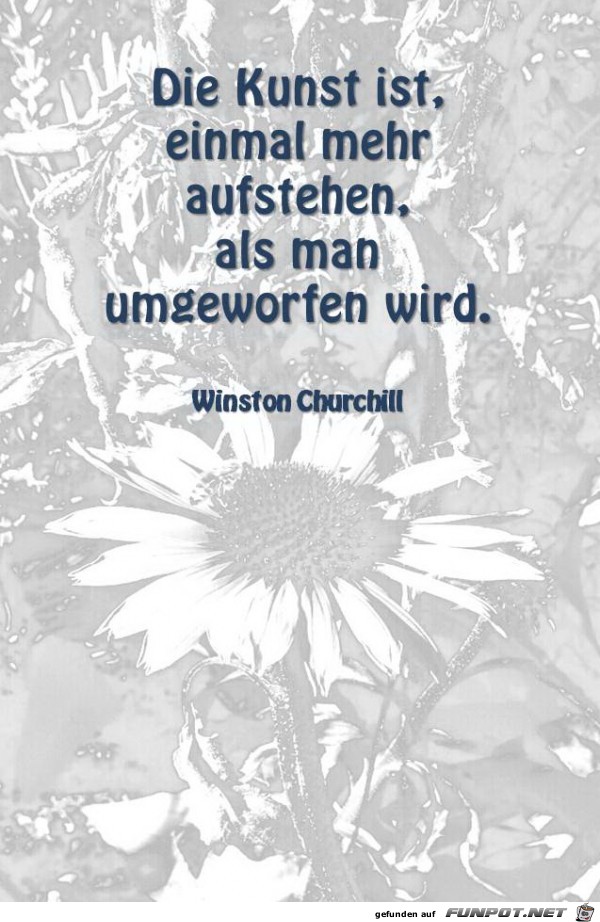 die kunst ist die kunst ist