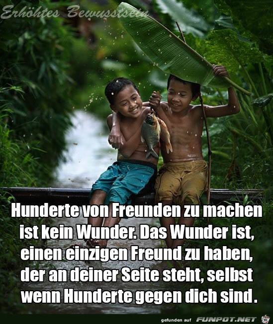 Hunderte von Freunden