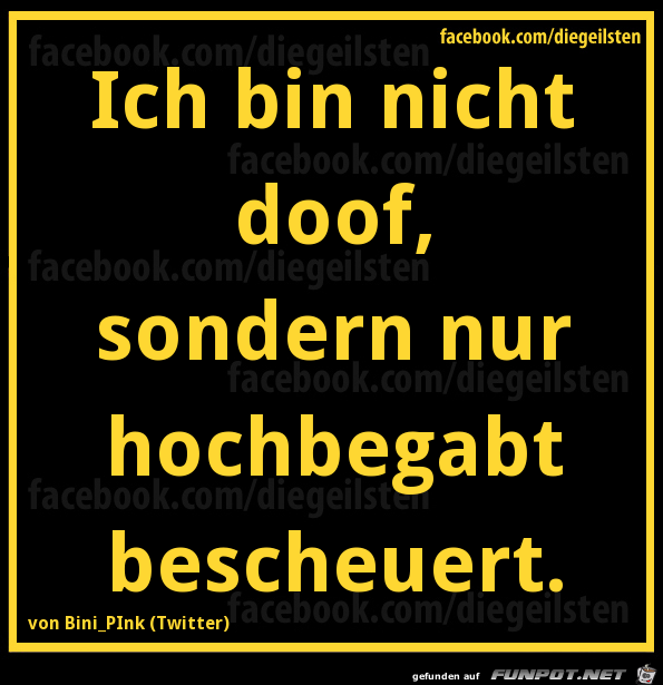 diegeilsten nicht doof diegeilsten nicht doof