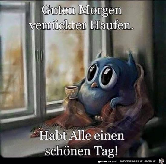 guten Morgen