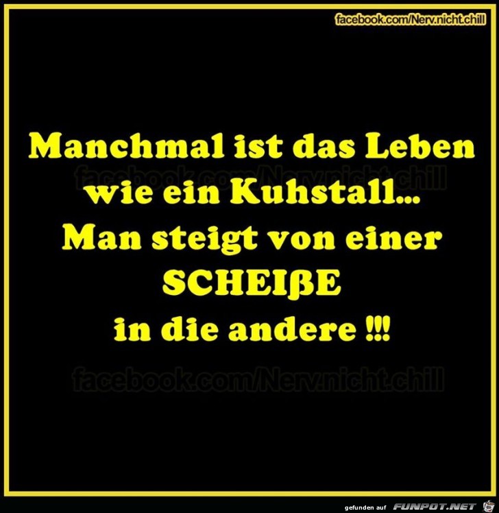 Kuhstall Kuhstall