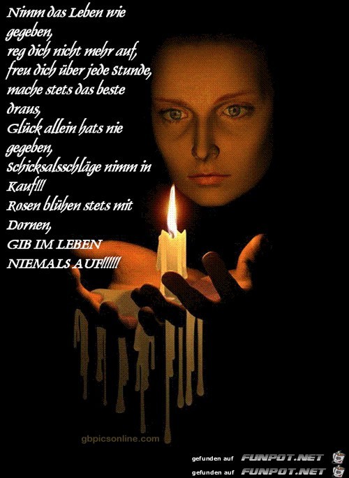 nimm das leben nimm das leben