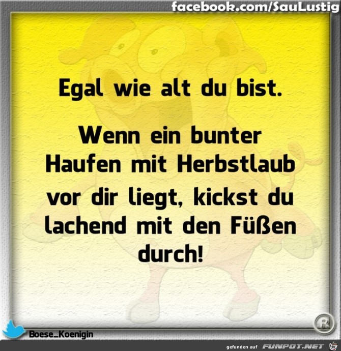 Egal wie alt Du bist Egal wie alt Du bist