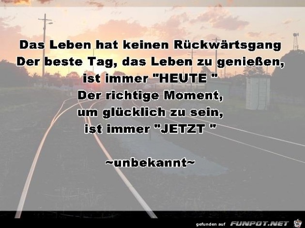 das Leben hat keinen Rueckwaertsgang das Leben hat keinen Rueckwaertsgang