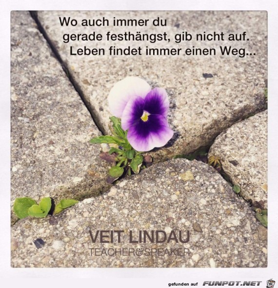 weg weg