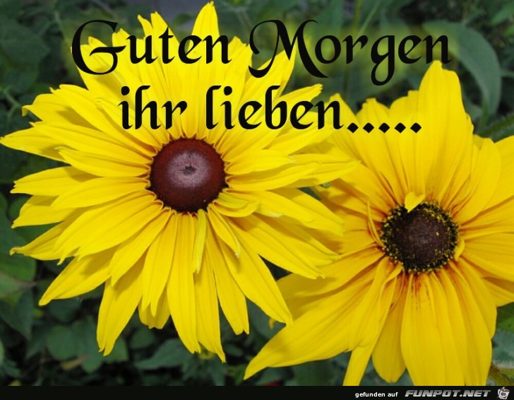 Guten Morgen 