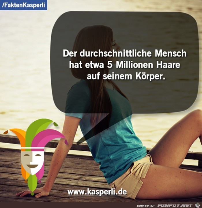 5 Millionen Haare 5 Millionen Haare