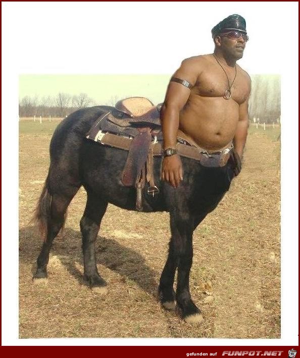 Centaur Centaur
