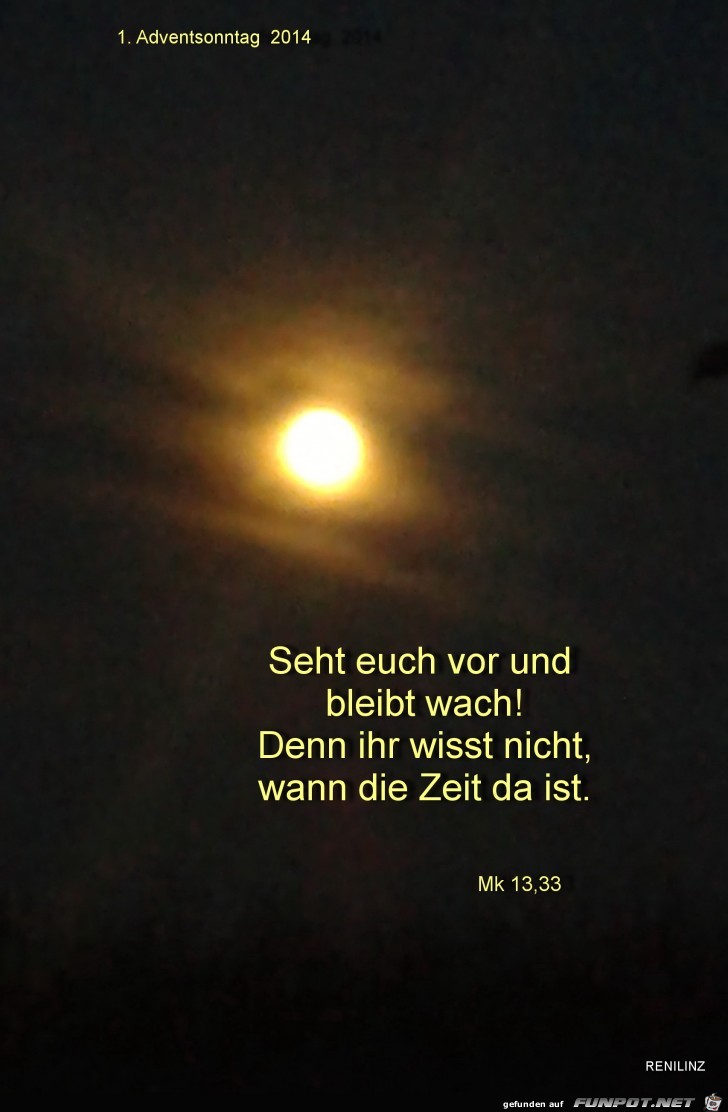 1 1
