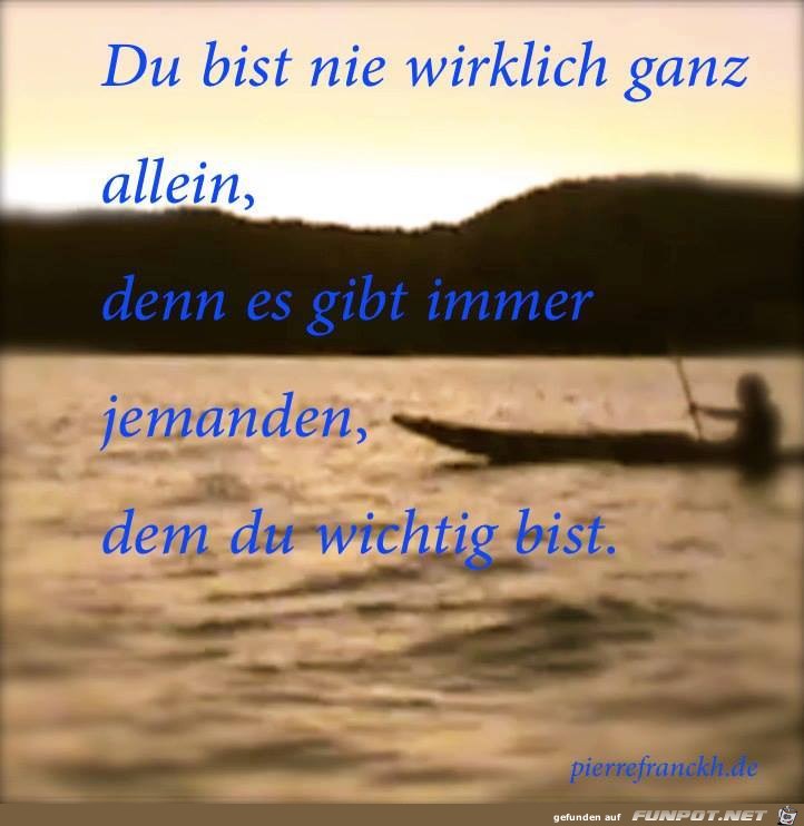 Du bist nie ganz allein Du bist nie ganz allein