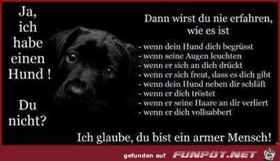 Ja, ich haben einen HUND