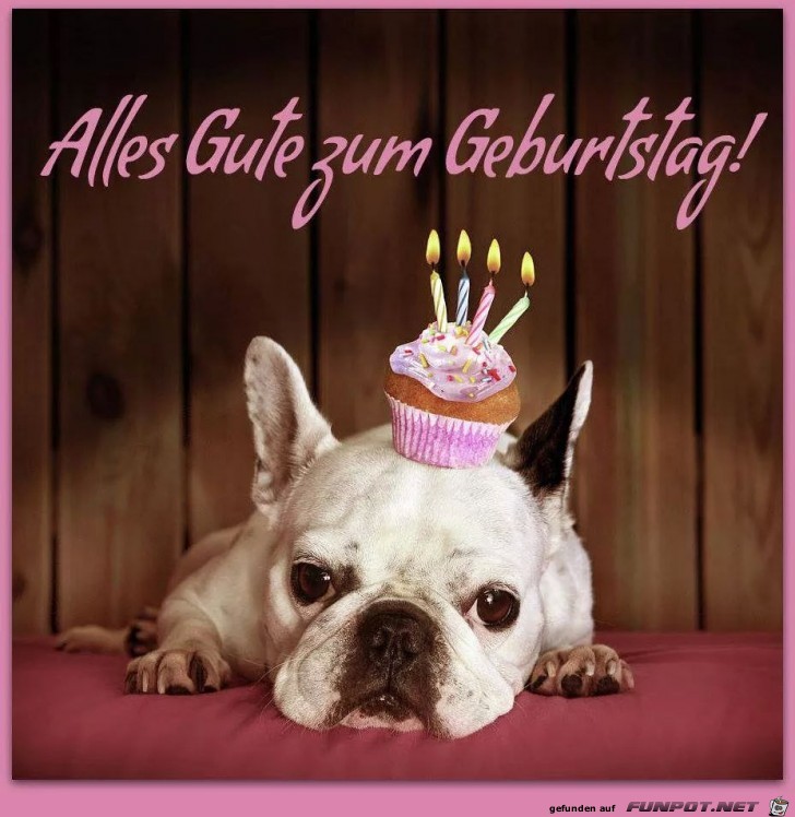 Geburtstag a