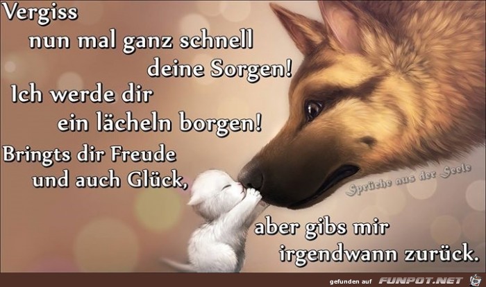 Sorgen Sorgen