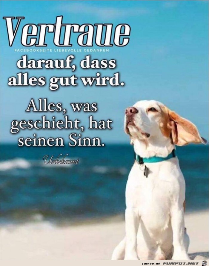 vertraue darauf