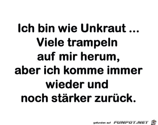 ich bin wie unkraut ich bin wie unkraut