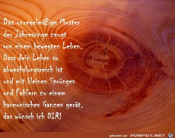 Jahresringe Jahresringe