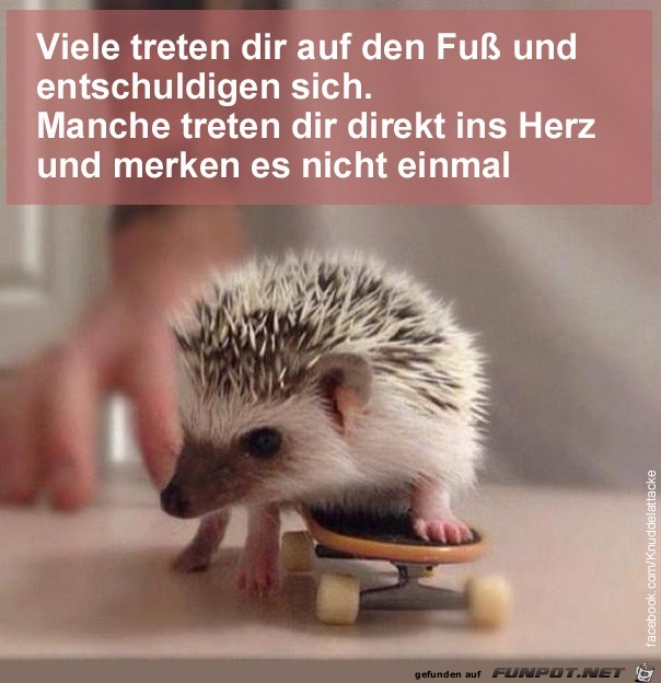 Viele Viele