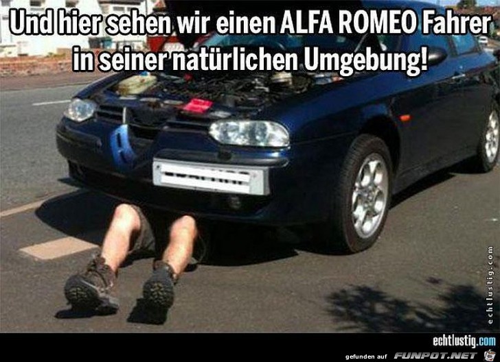 alfa-romeo-fahrer- alfa-romeo-fahrer-