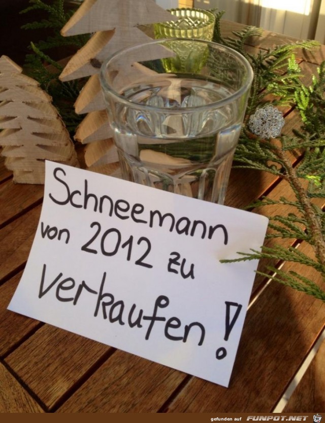 schneemann2012