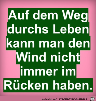 10 schne Sprche und Lebensweisheiten aus...