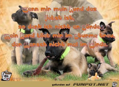 Wenn mir mein Hund das Liebst ist so denk ich nicht an Sue Wenn mir mein Hund das Liebst ist so denk ich nicht an Sue