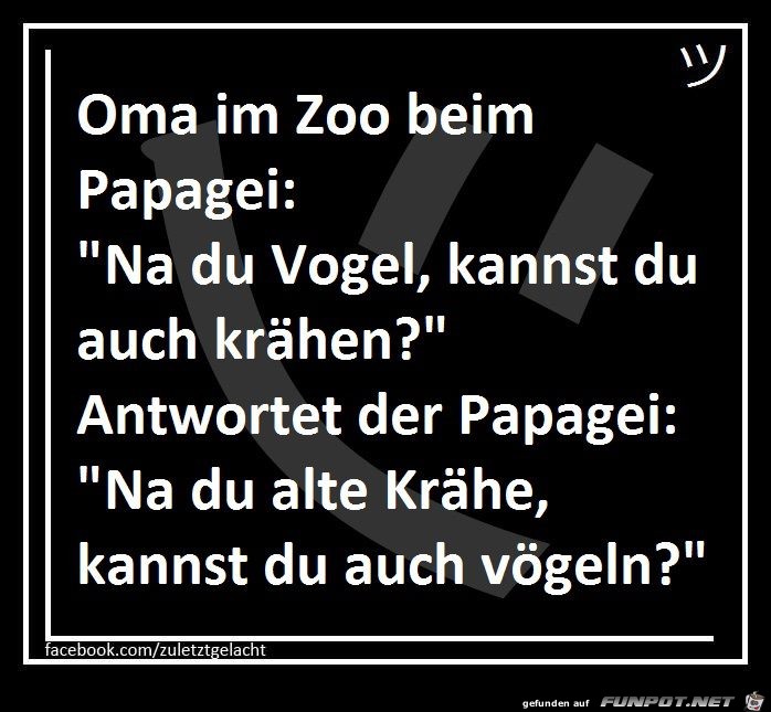 Oma im Zoo Oma im Zoo