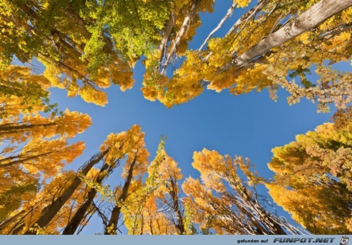 Tolle Orte die du im Herbst besuchen kannst 14