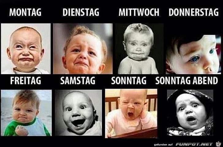 Fakten die man frueh erkennt Fakten die man frueh erkennt